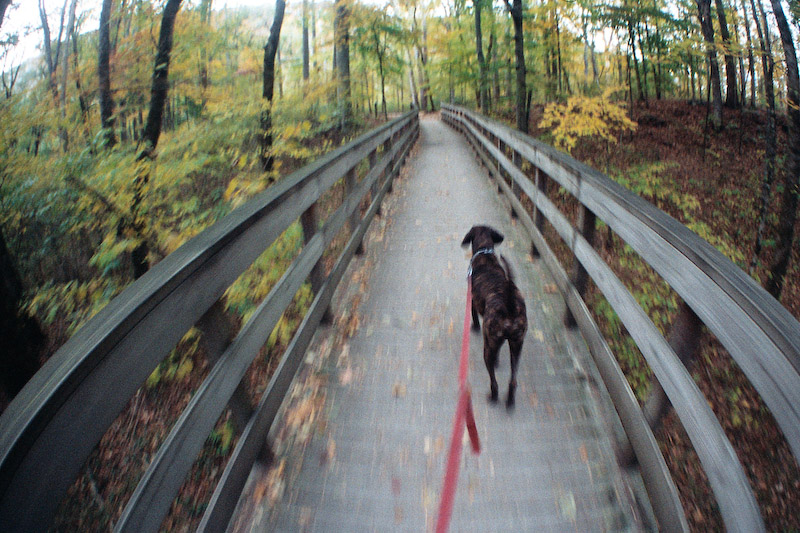 Pixel on Observation Deck