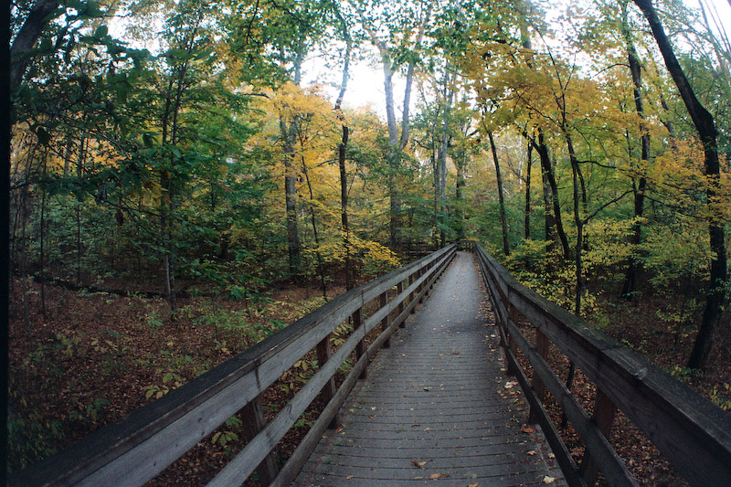 Boardwalk in Dimming Fall Light