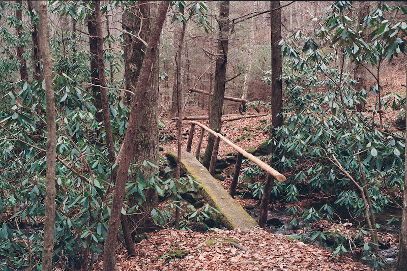 Footbridge on Meigs Mountain Trail