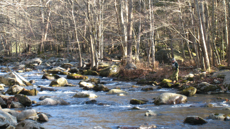 Little River Fly Fishing