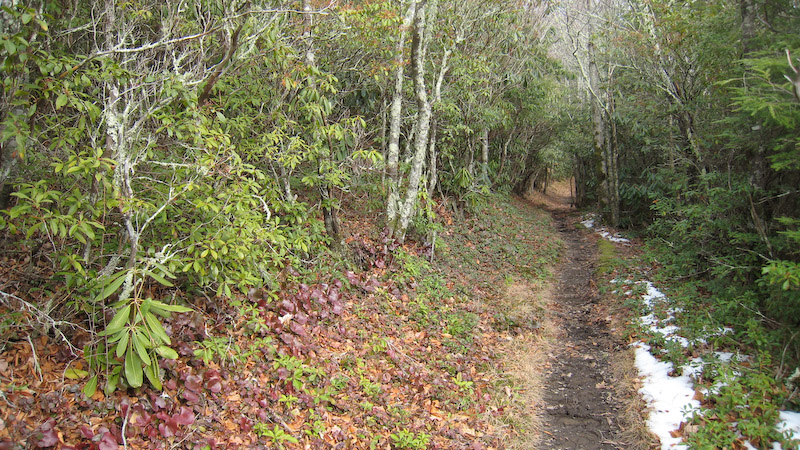 Miry Ridge Trail, below Dripping Spring Mountain