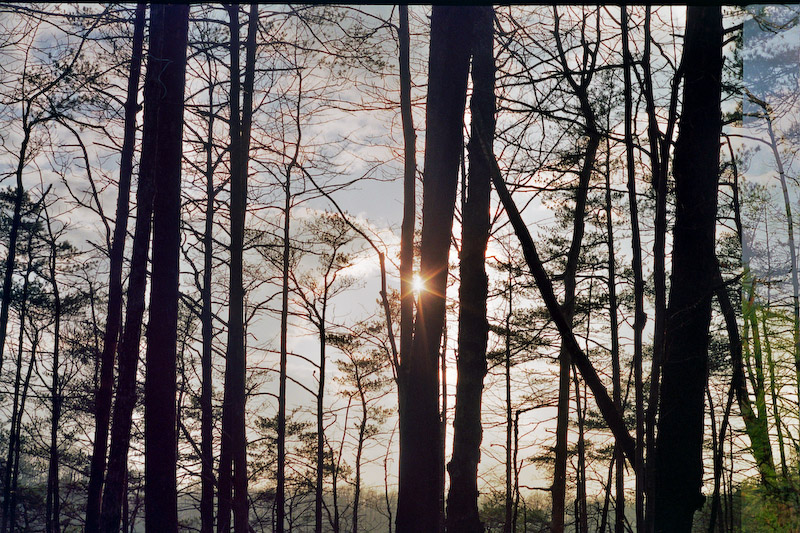 Sunset with clearing skies