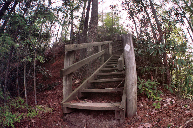 Stairs on Sheltowee Trace