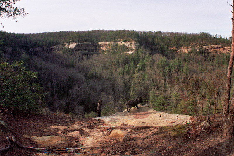 Overlook to Indian Staircase
