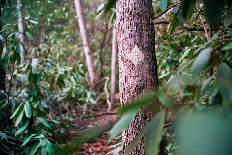 Sheltowee Trace