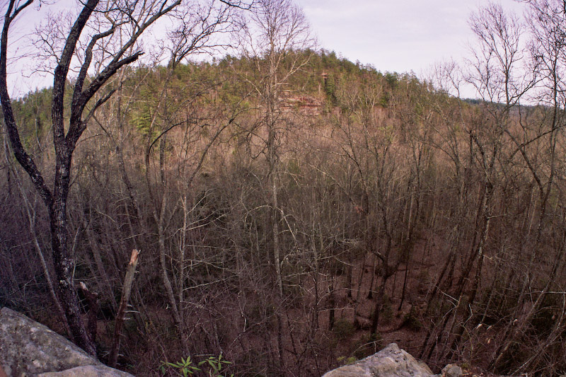 View into Grassy Branch