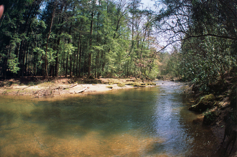 Swift Camp Creek near Steamboat Rock