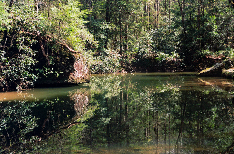 Swift Camp Creek reflections