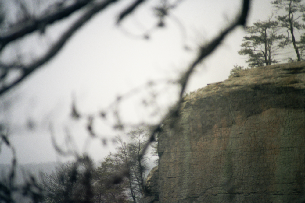 Snow Showers on Auxier Ridge