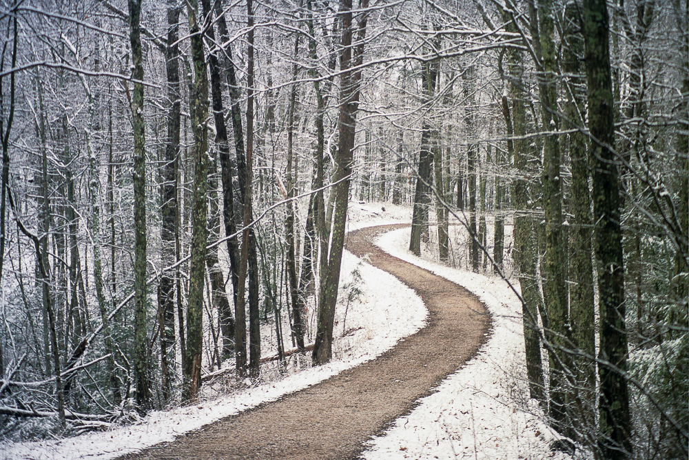 Snow Showers on Auxier Ridge