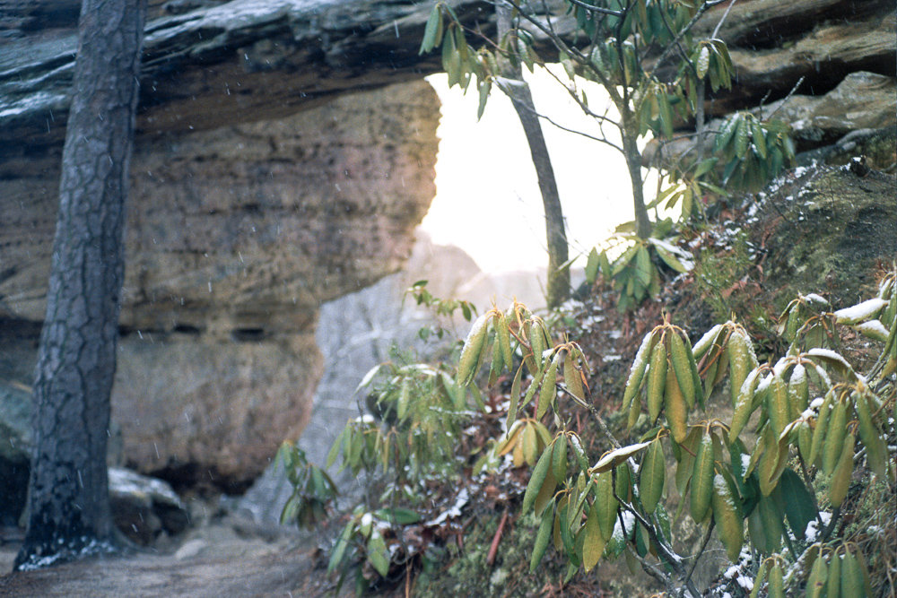 Snow Showers on Auxier Ridge