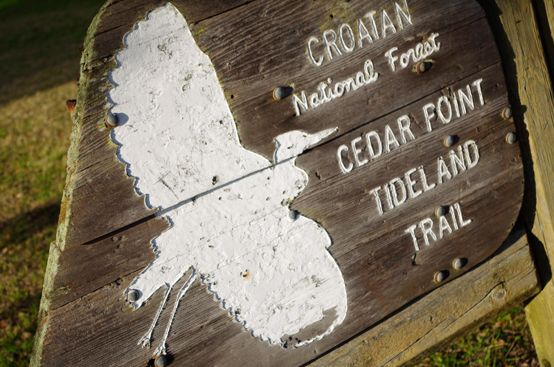 Cedar Point Tidewater Trail
