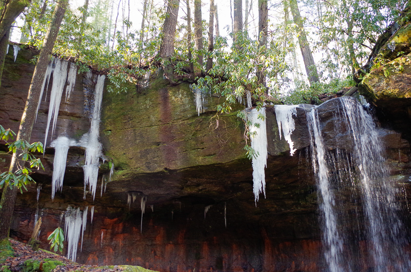 Turtle Back Falls