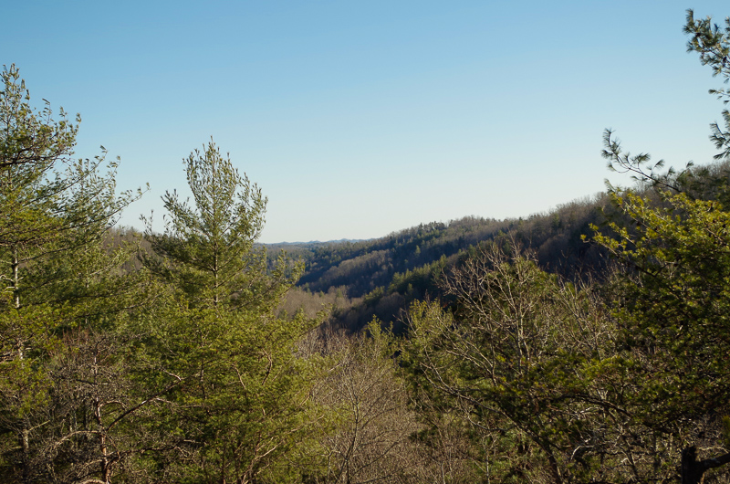 Scenic Overlook