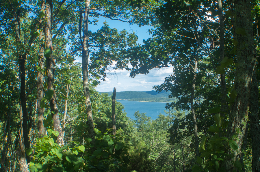 Twin Knobs Summit View