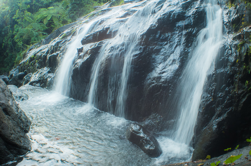 Fruits of the rain forest and the Old Machete Trail