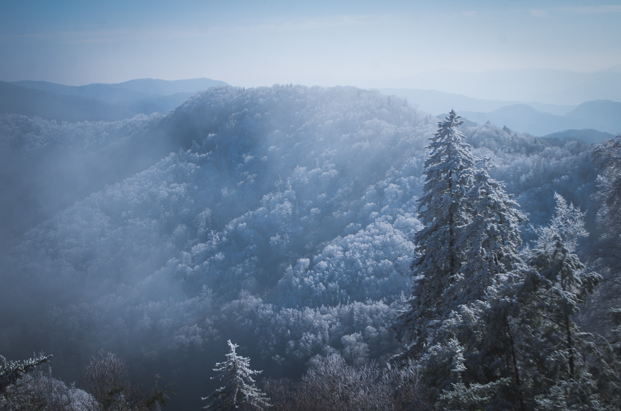 Newfound Gap