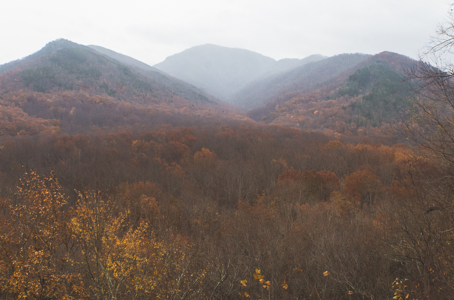 Smokies