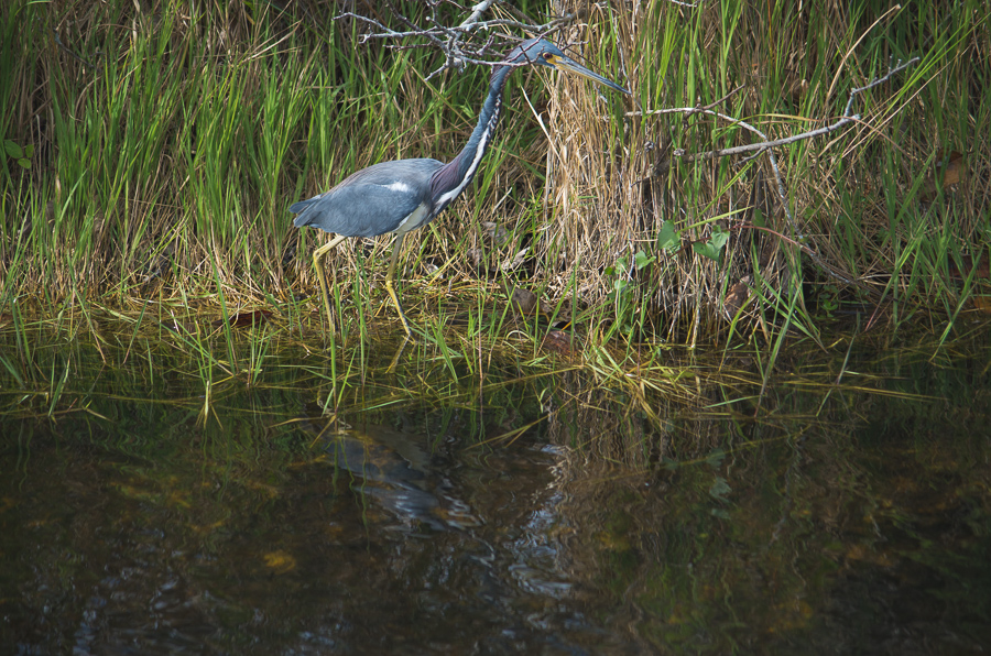 Everglades National Park