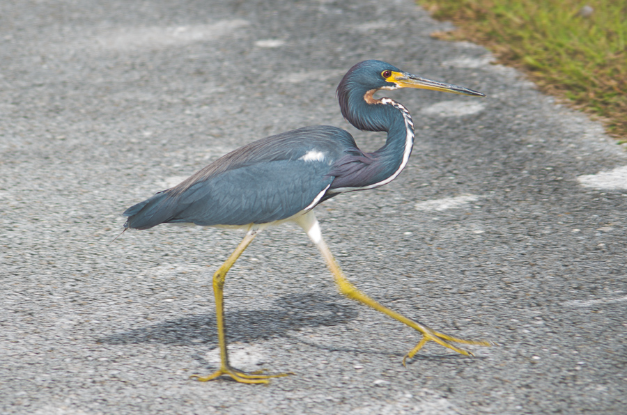 Everglades National Park