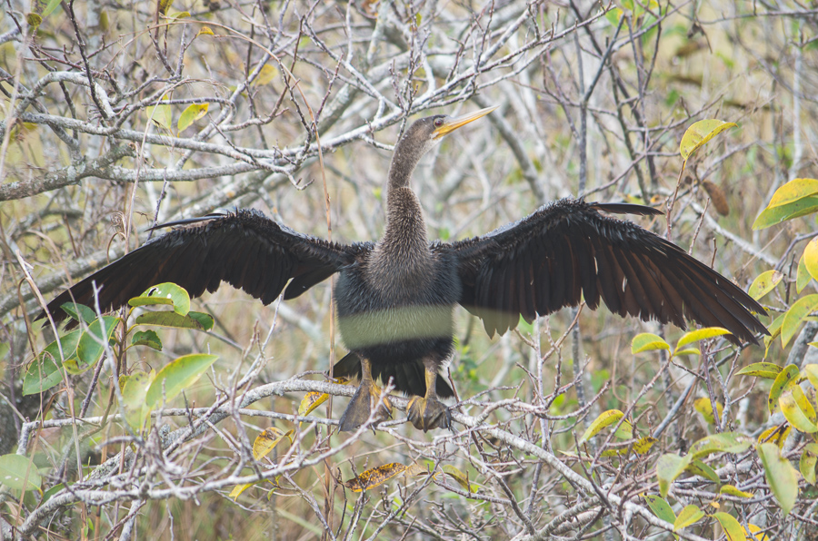 Everglades National Park