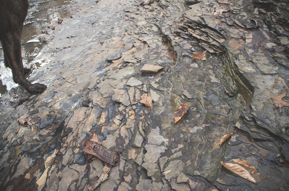 Pilot Knob shale underneath