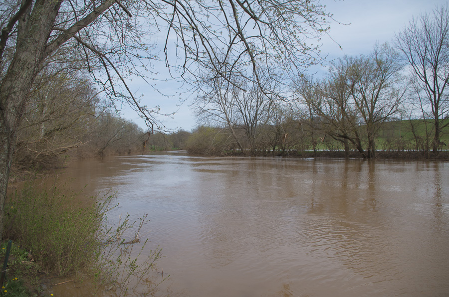 Stoner Creek after flood