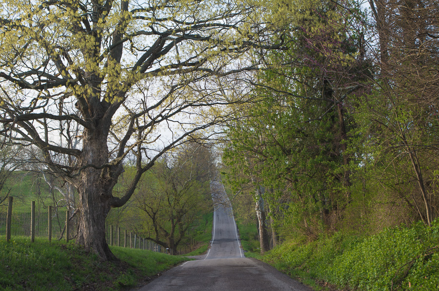 Jessamine County Rural Roads