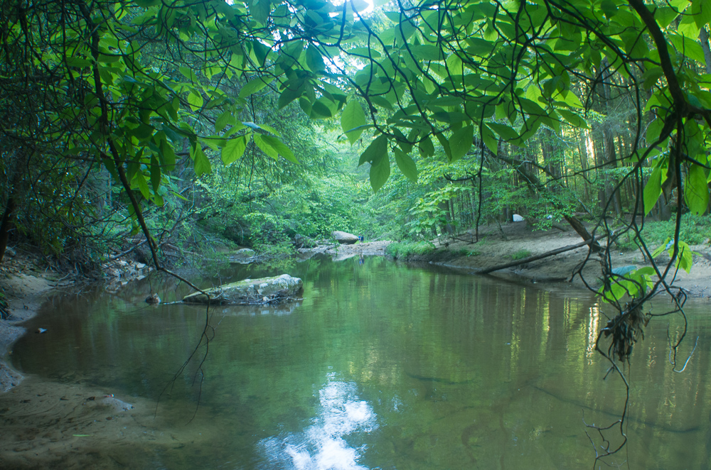 Swift Camp Creek