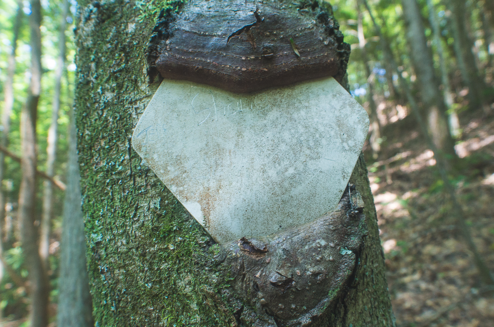 Old trail markings