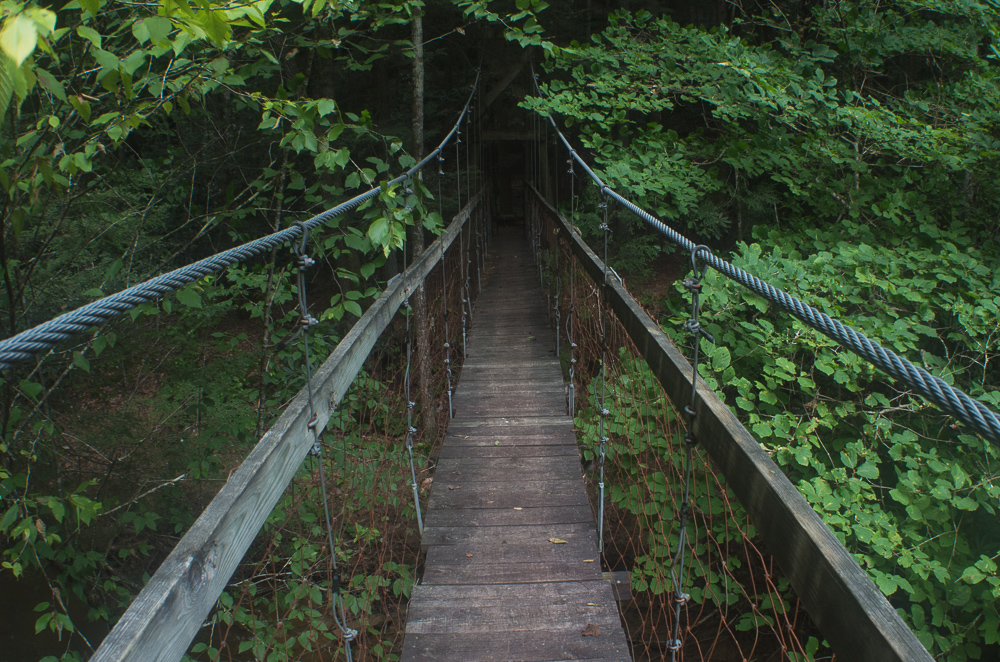 Hawk Creek Bridge