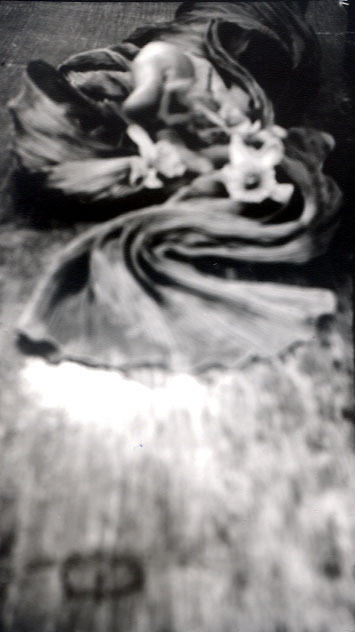 Paper Film Still Life, 1991