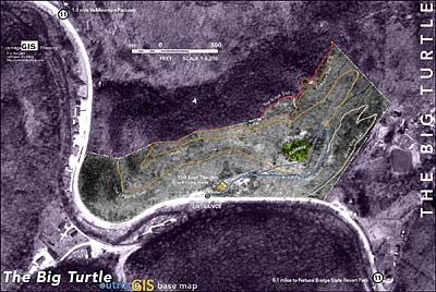 Big Turtle Resort 2D - 2000